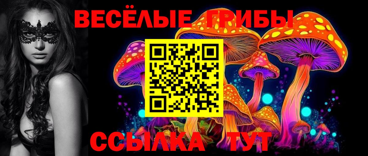 Псилоцибиновые грибы ЛСД  Вход с VPN  купить наркоту  Малоярославец 